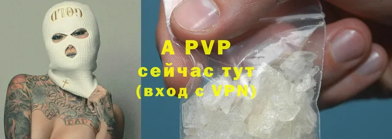 A-PVP СК КРИС  Тверь 