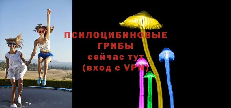 Галлюциногенные грибы Cubensis  Тверь 